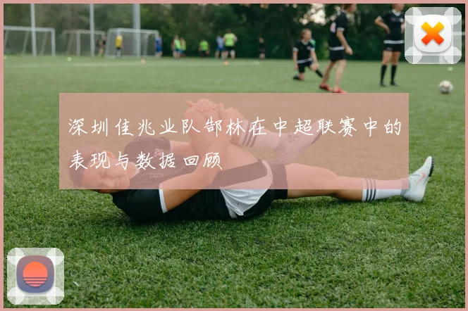深圳佳兆业队郜林在中超联赛中的表现与数据回顾